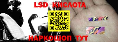 винт Славгород