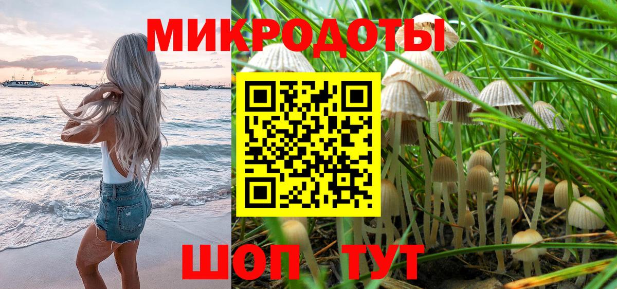 Галлюциногенные грибы Cubensis  где купить наркотик  Ноябрьск  Вход с VPN 