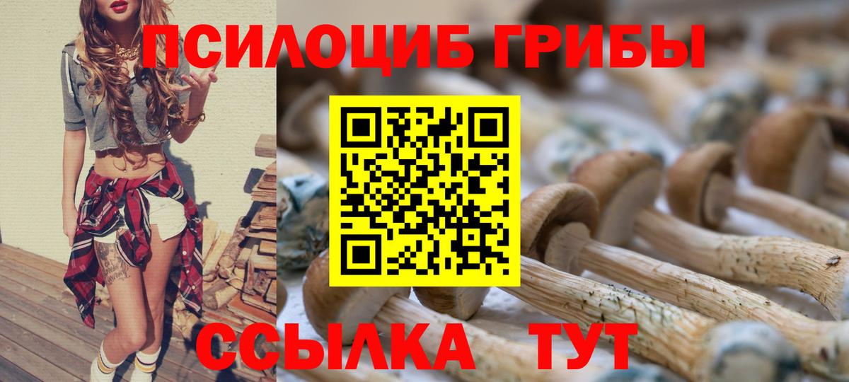 Галлюциногенные грибы MAGIC MUSHROOMS Ноябрьск